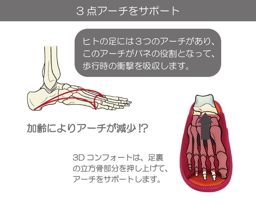 加齢によりアーチが減少。ヒトの足には3つのあーちがあり、このアーチがバネの役割となって歩行時の衝撃を吸収します。3dコンフォートは足裏の立方骨部分を押し上げてアーチをサポートします。